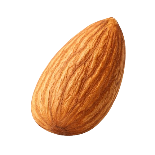 Premium Dry Fruits for a Healthy Lifestyle