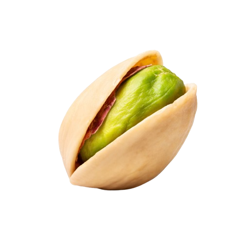 Premium Dry Fruits for a Healthy Lifestyle